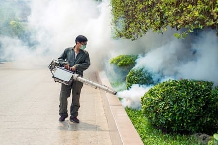 Man smoking pests — Pest Control in Winnellie, NT Man smoking pests — Pest Control in Winnellie, NT